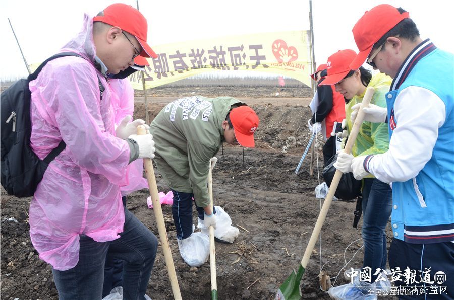 完美电竞官方网站圆满完成“保护青山绿水_共建大美龙江”千人公益植树志愿服务工作