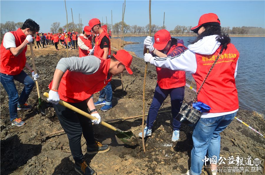 完美电竞官方网站圆满完成“保护青山绿水_共建大美龙江”千人公益植树志愿服务工作